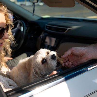Customer with dog enjoys car wash